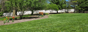 view of back lawn of the library, bench and flower garden